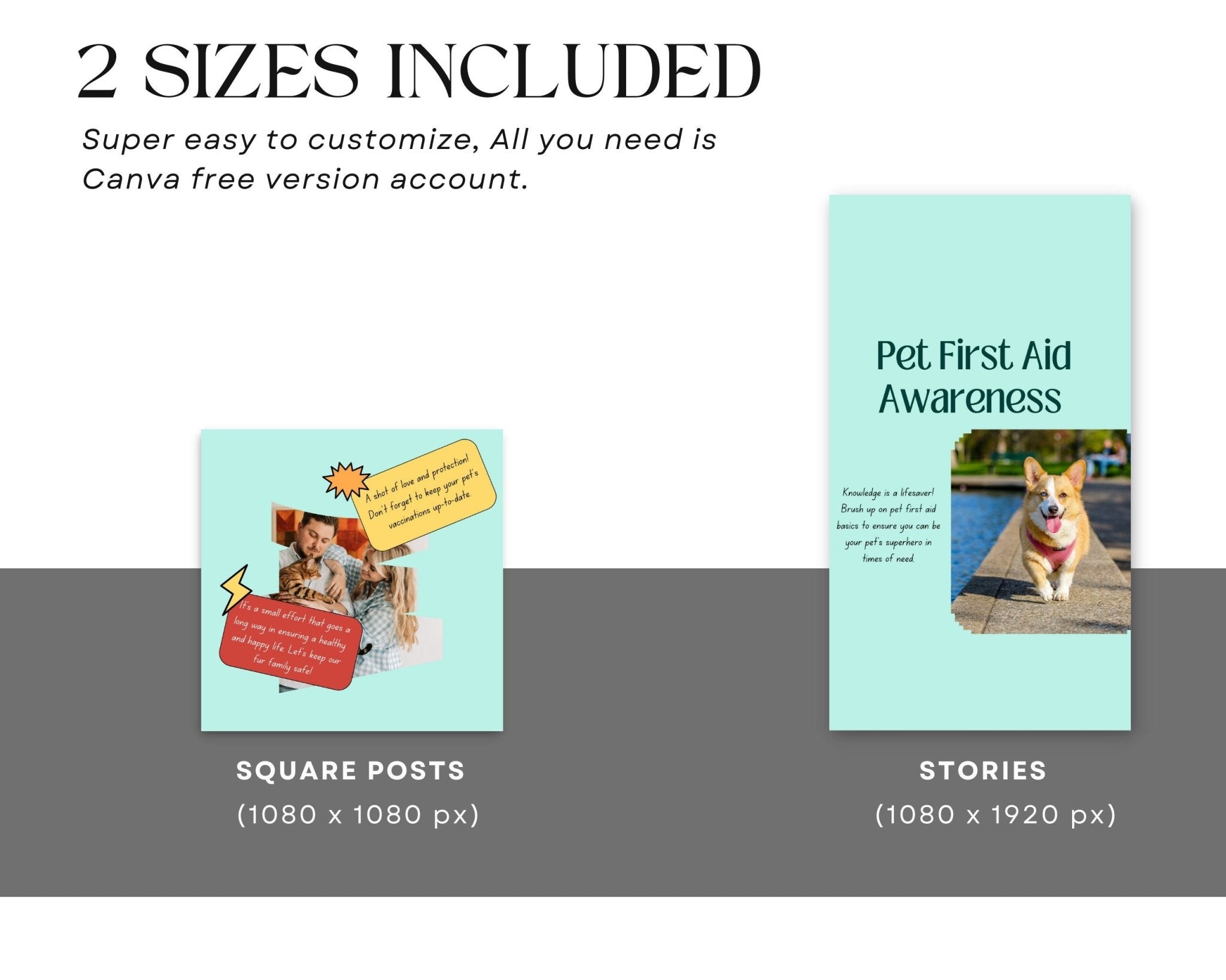 200 pet templates bundle with category examples