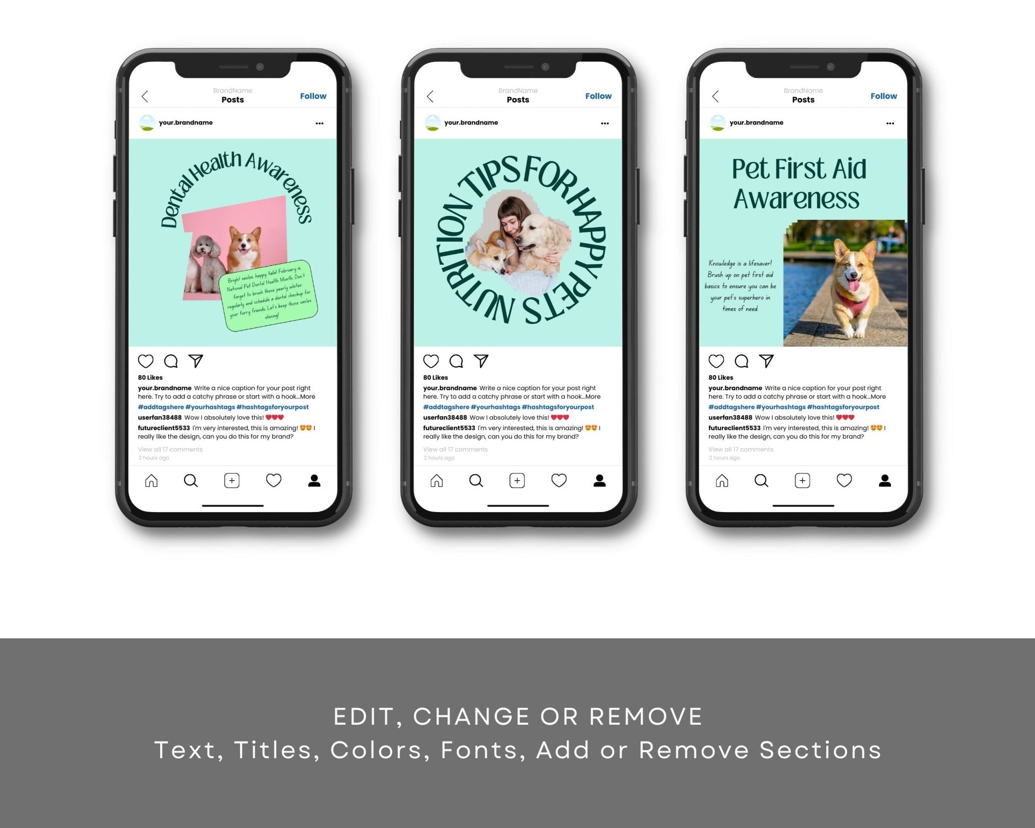 Canva interface screenshot showing pet care post edit