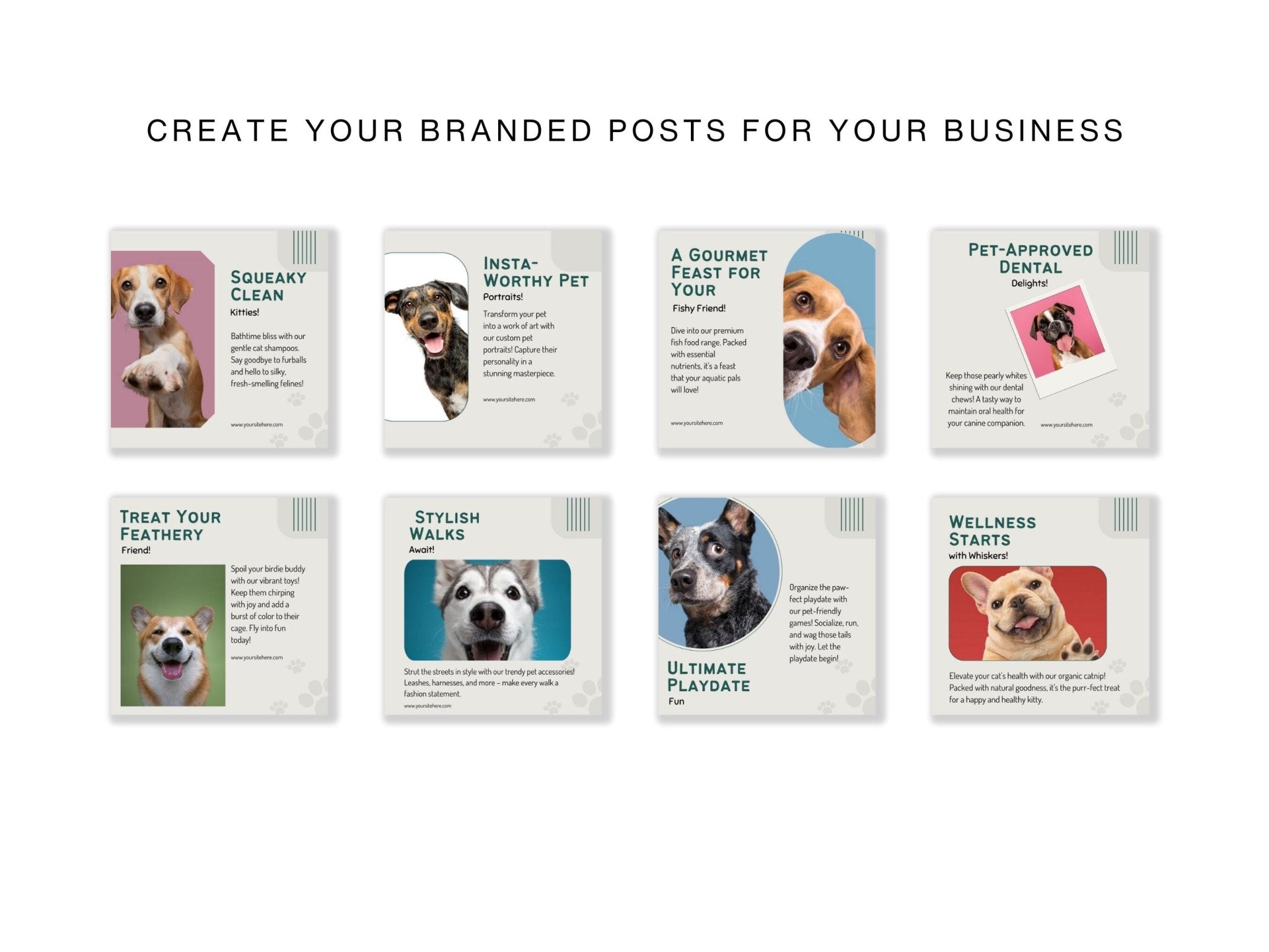 Veterinary clinic Instagram story from Canva template set