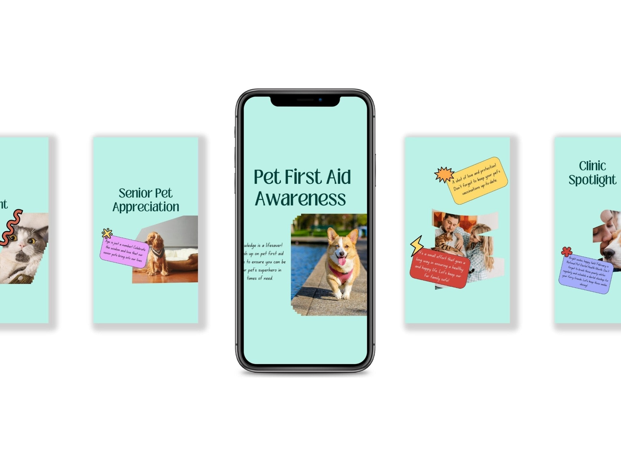 Phone displaying 'Pet First Aid Awareness' with images of a dog and cat on a white background
