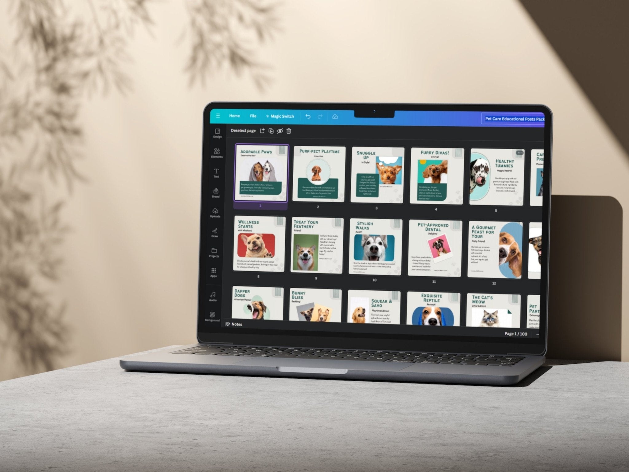 Modern pet care Instagram post and story bundle preview