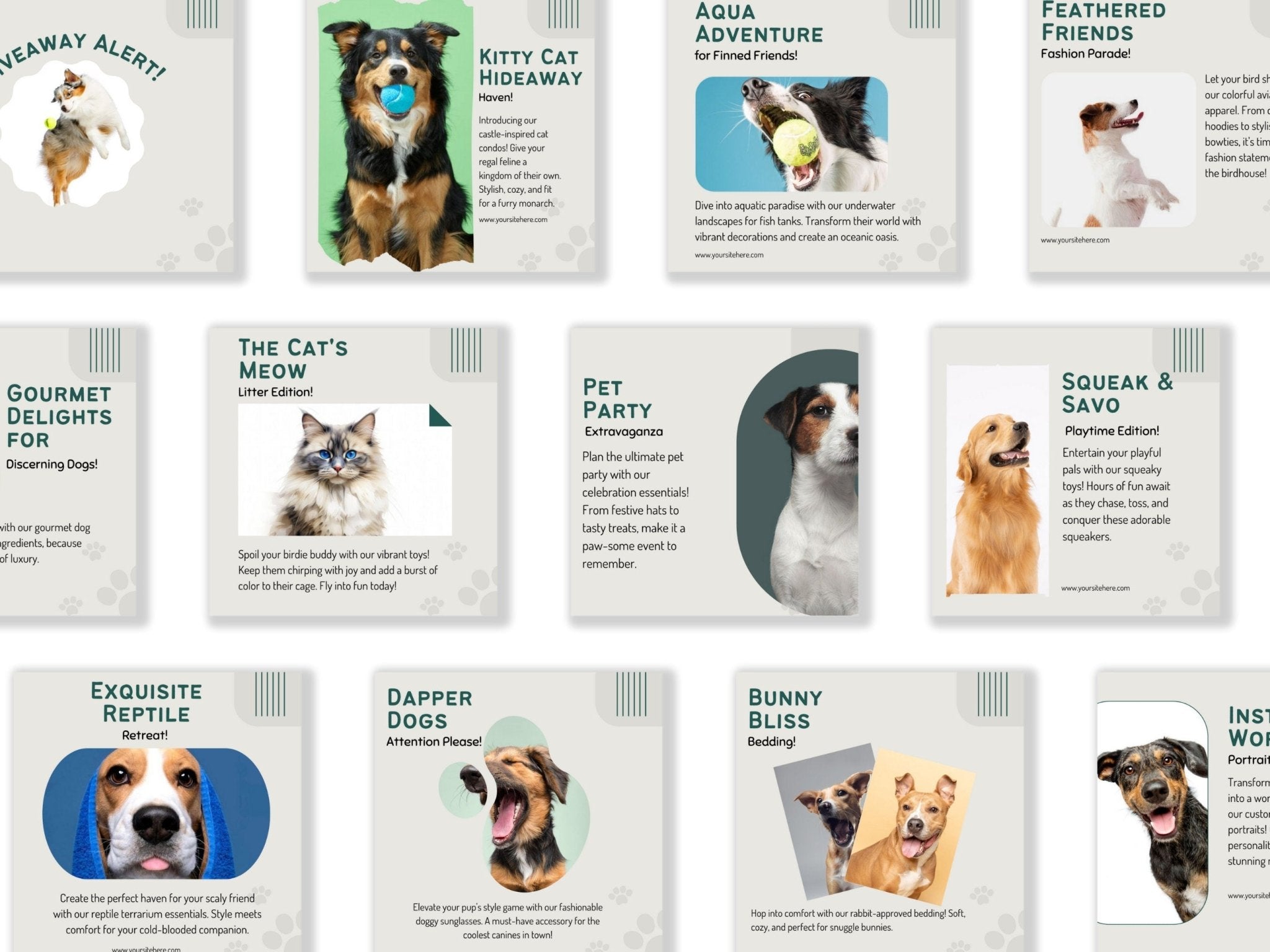 Instagram post template for dog grooming service