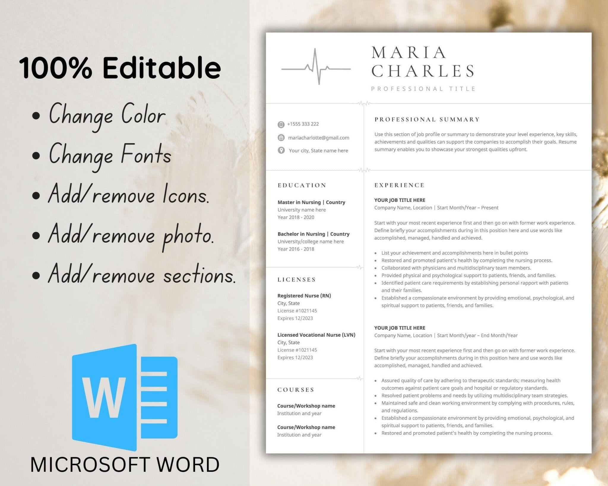 Professional CV layout for Word