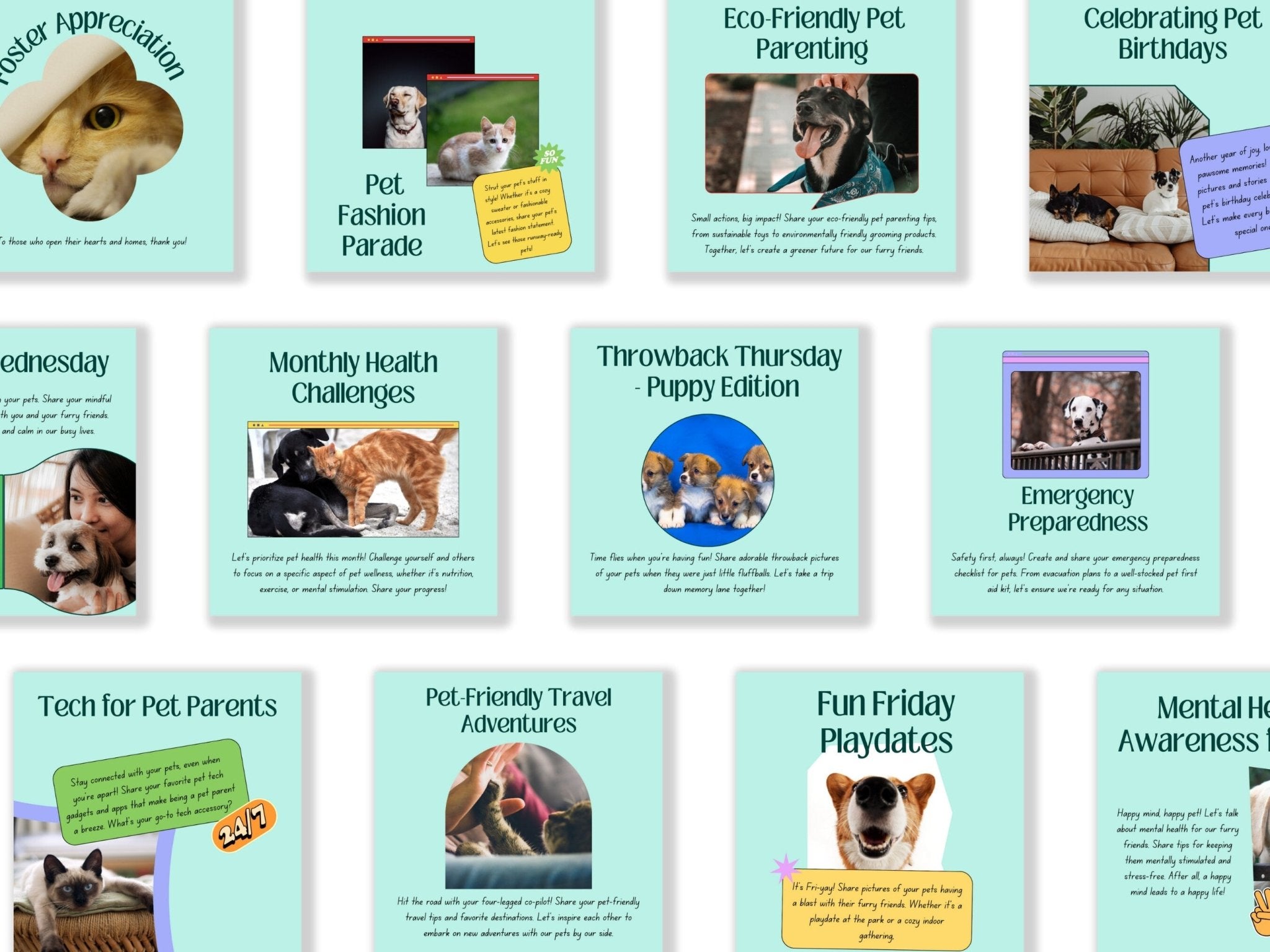 Pet birthday celebration Canva template preview