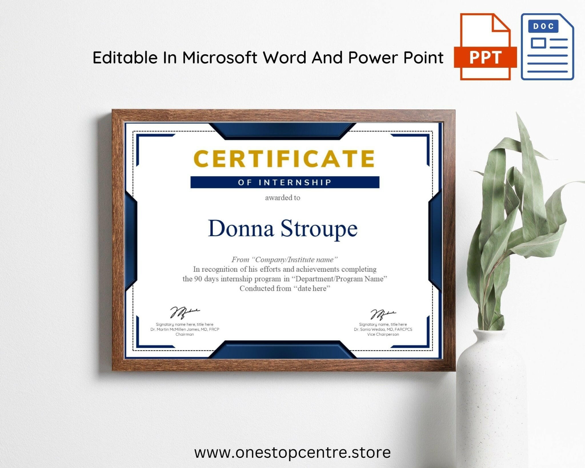 Professional award certificate for training or recognition