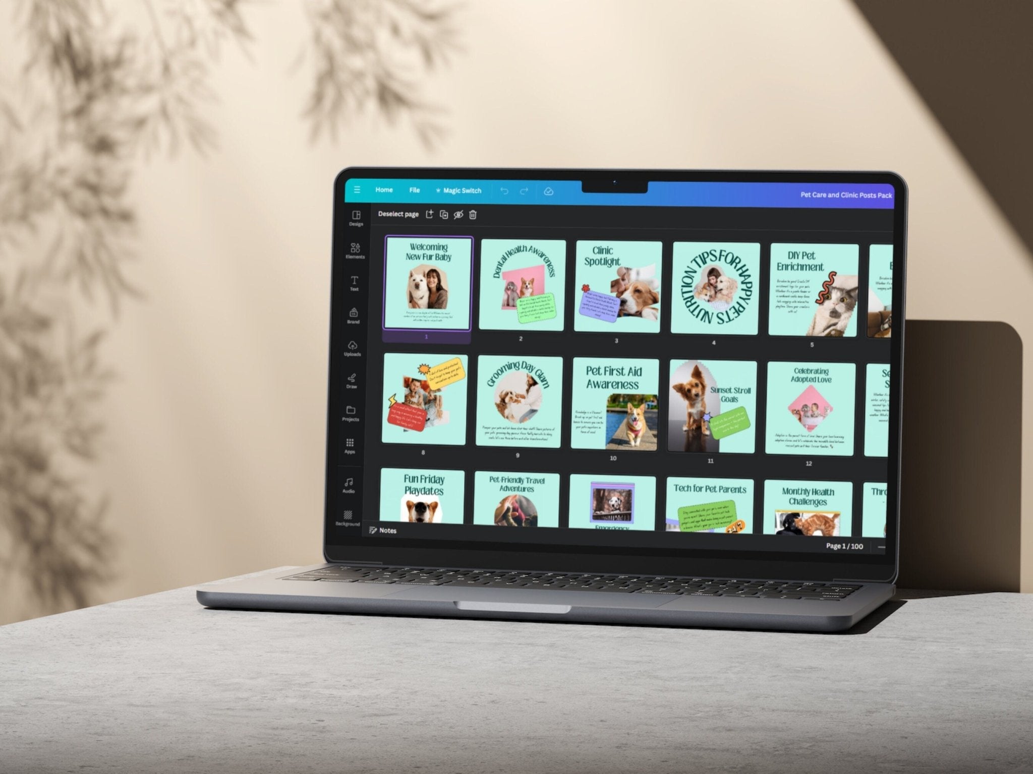 Professional pet marketing post layout – laptop display