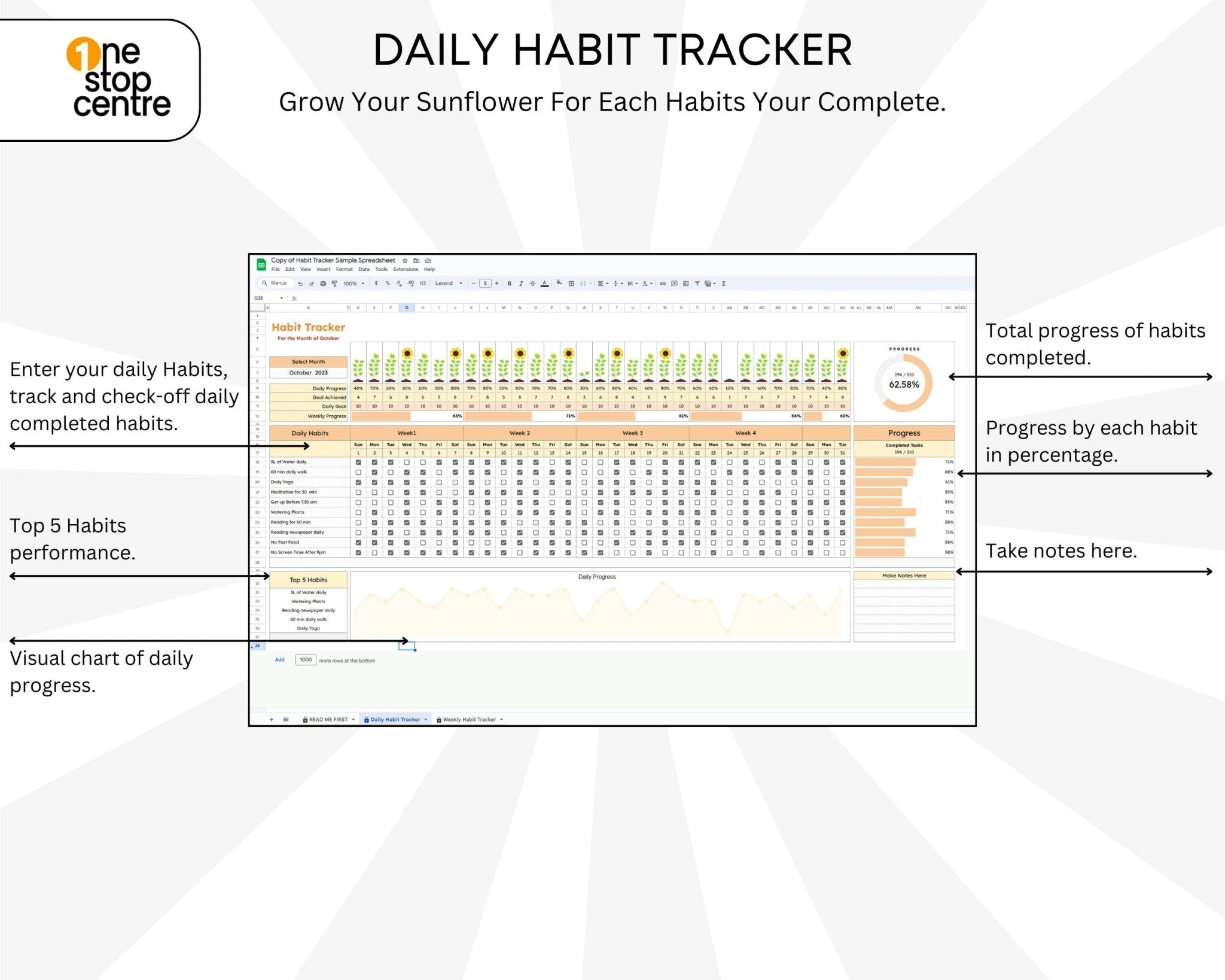 Editable Google Sheets Habit Template