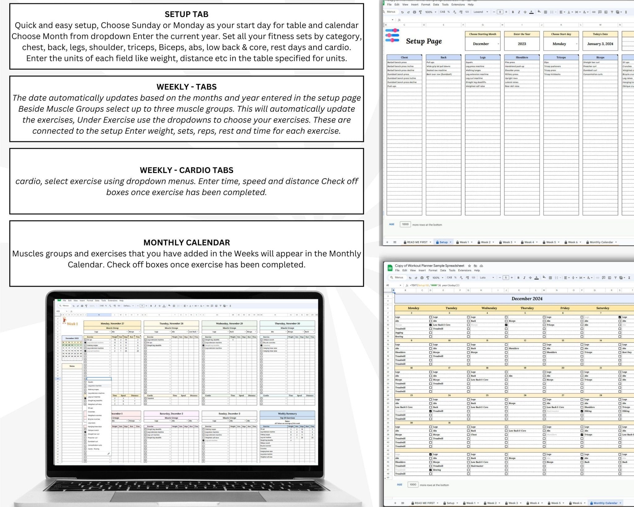 Daily and weekly workout planner for gym routines