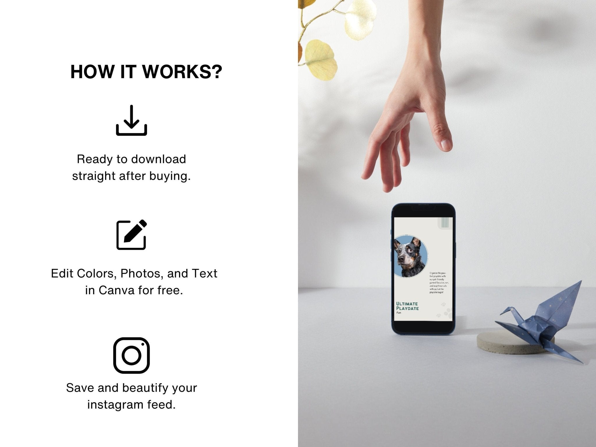 Pet care marketing kit for social media with Canva templates