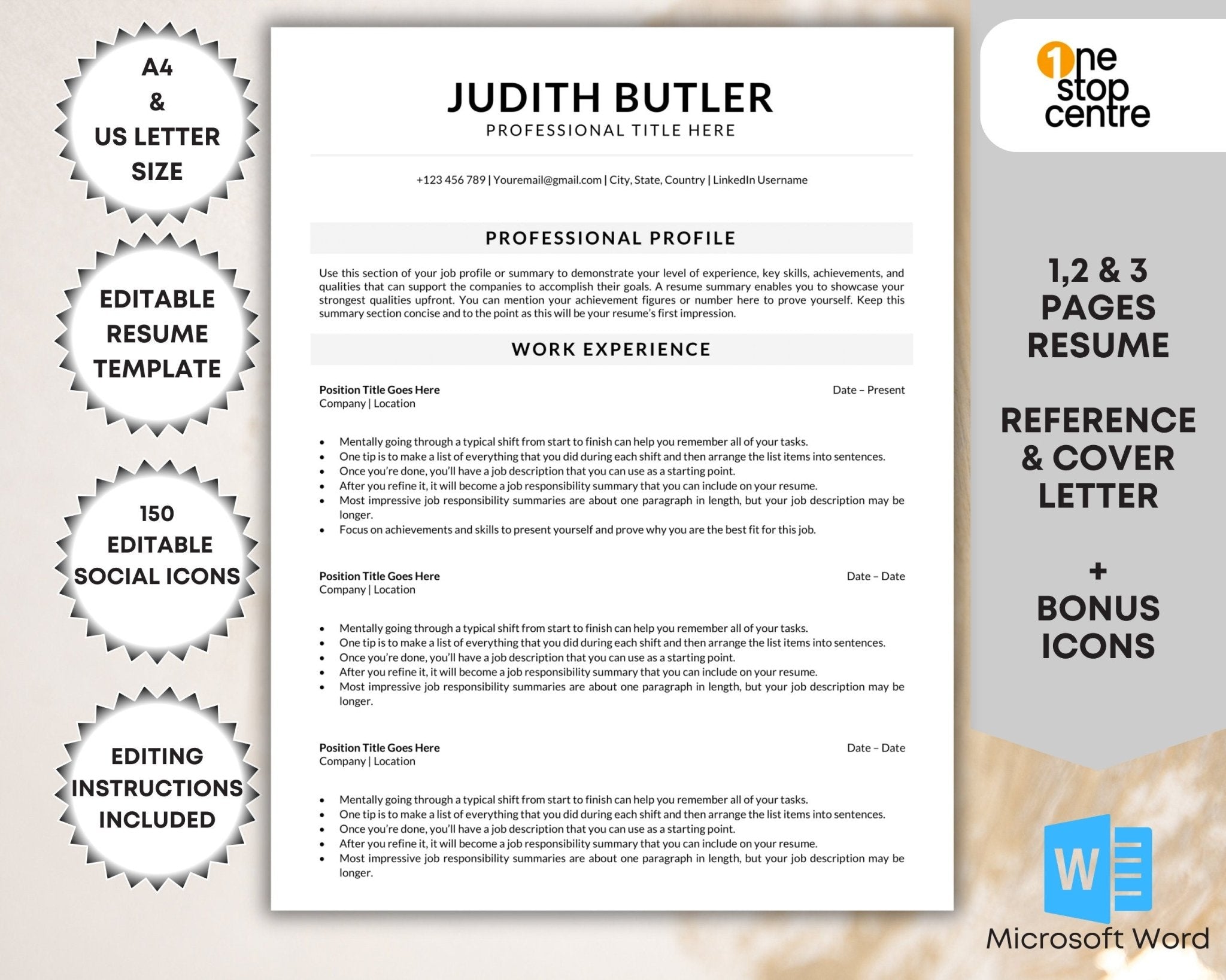 Professional resume template Word format